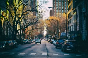 Tree-lined Chicago street