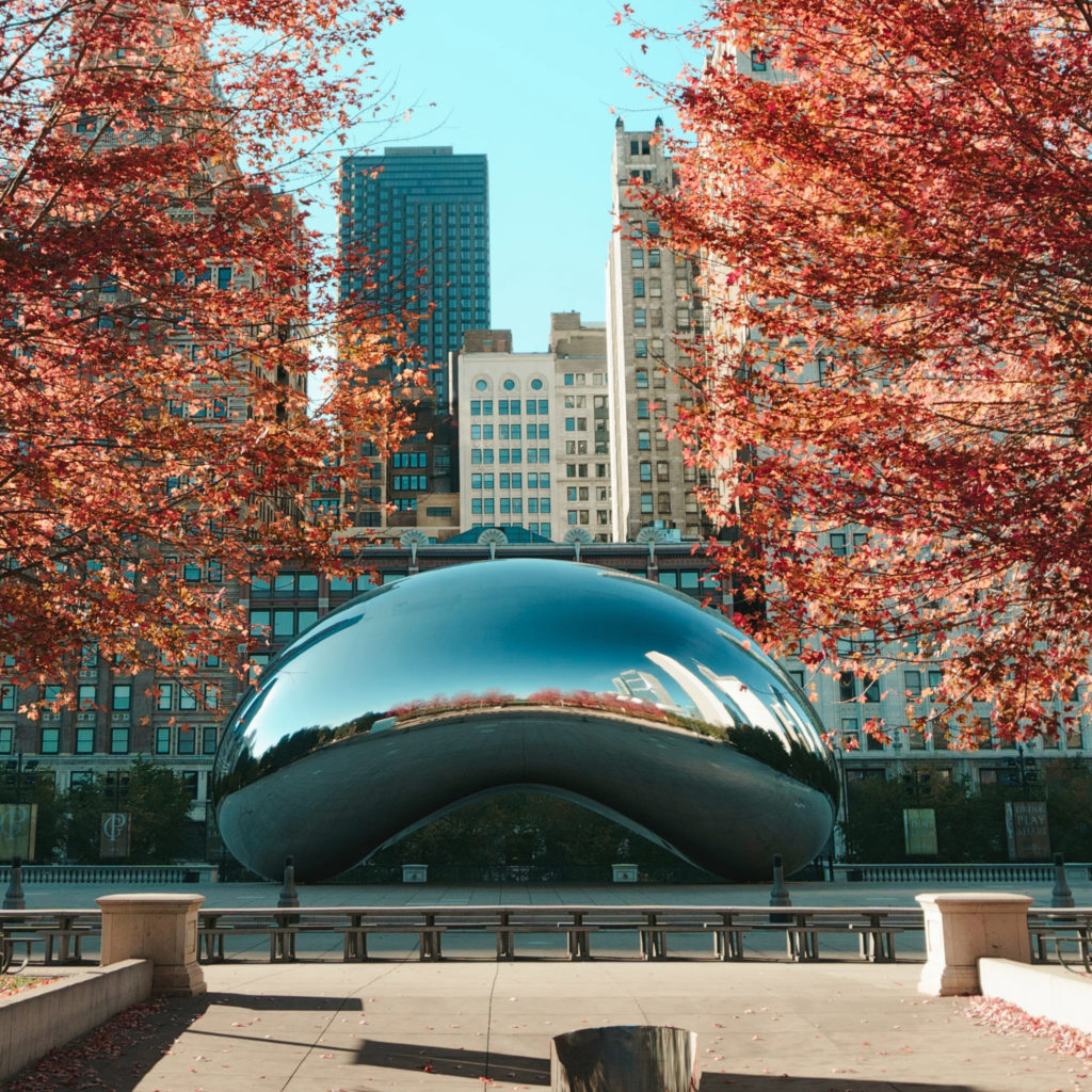 Photo of the Chicago Loop neighborhood in autumn