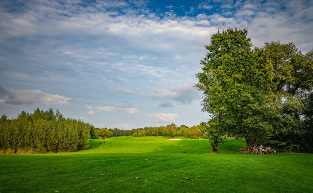 Greenery and outdoor space in Chicago's northern suburbs