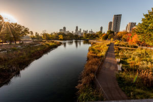 Fall foliage with vibrant autumn colors in a Chicago park